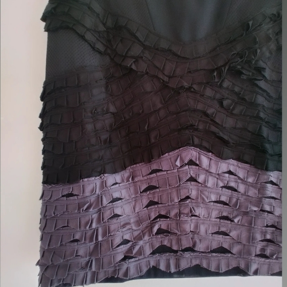 Bcbgmaxazria Runway 2009 Silk Mesh Tier Skirt 4 - Picture 2 of 9